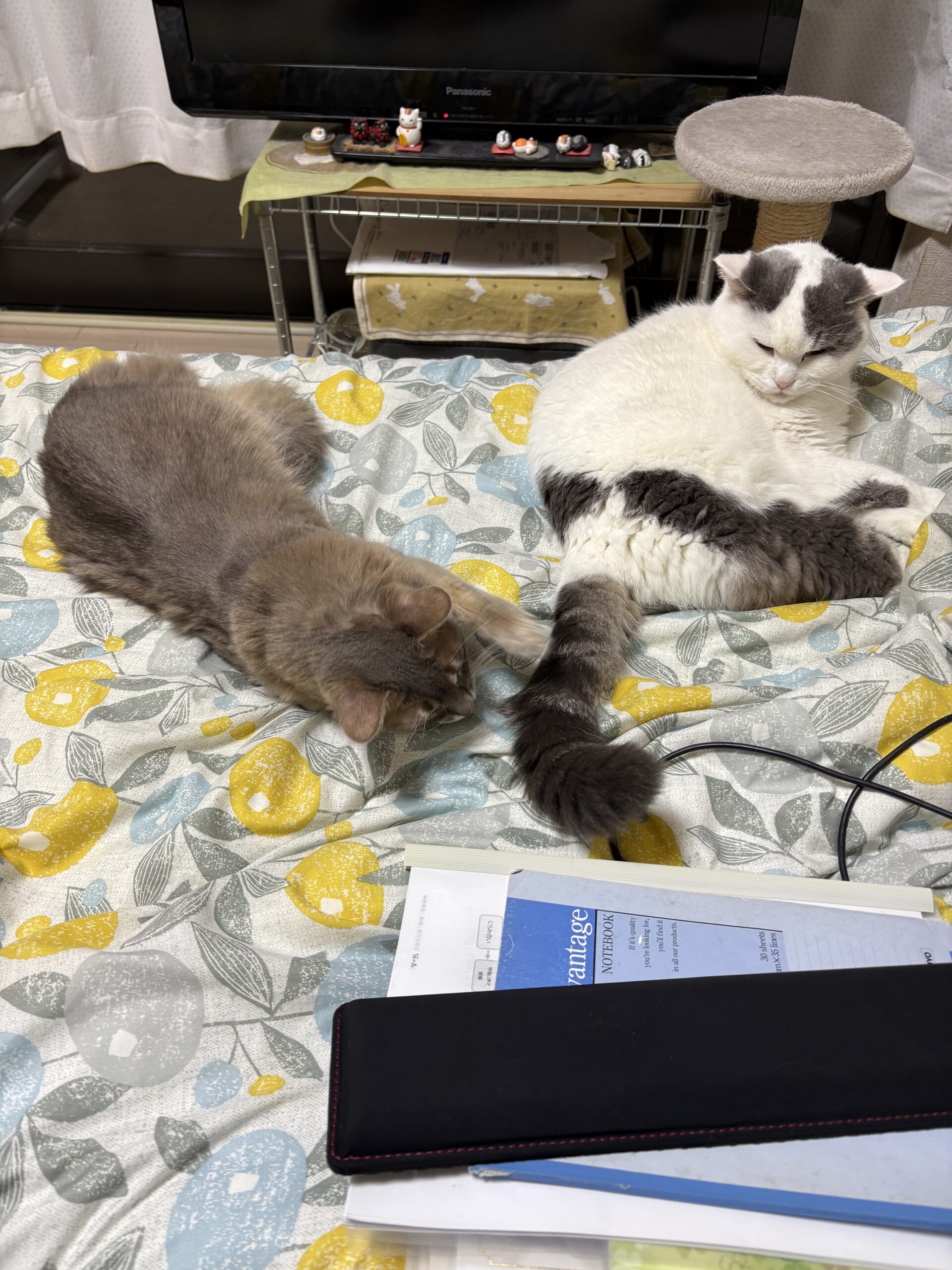 年末年始は繁忙期料金になります。