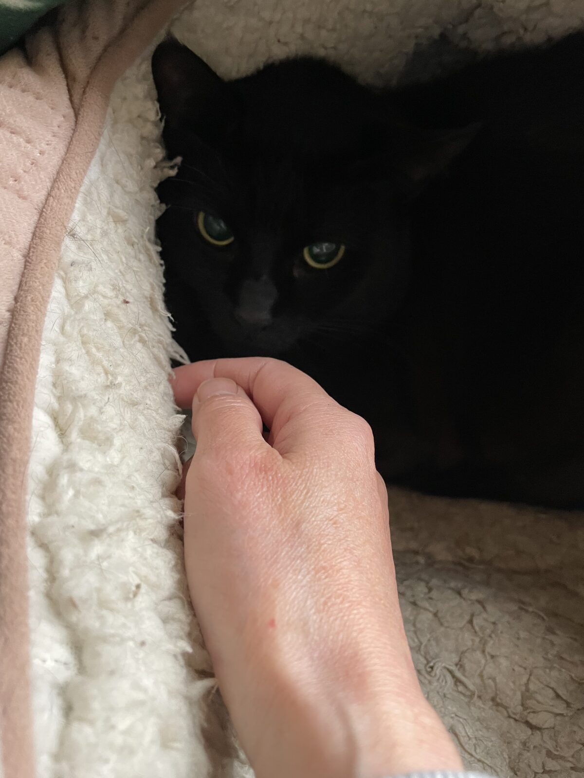 【船橋市】虚空くんのお世話報告