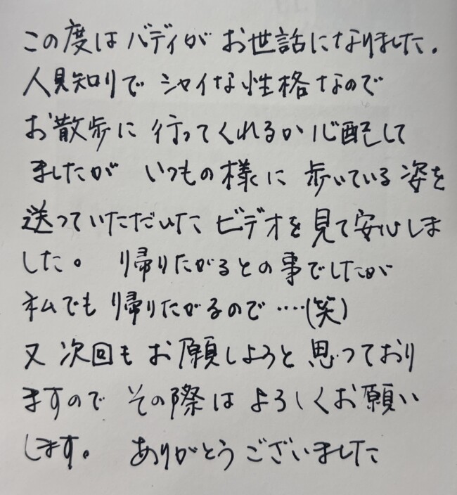 お散歩代行　アメリカンコッカースパニエルのバディちゃんのご家族様