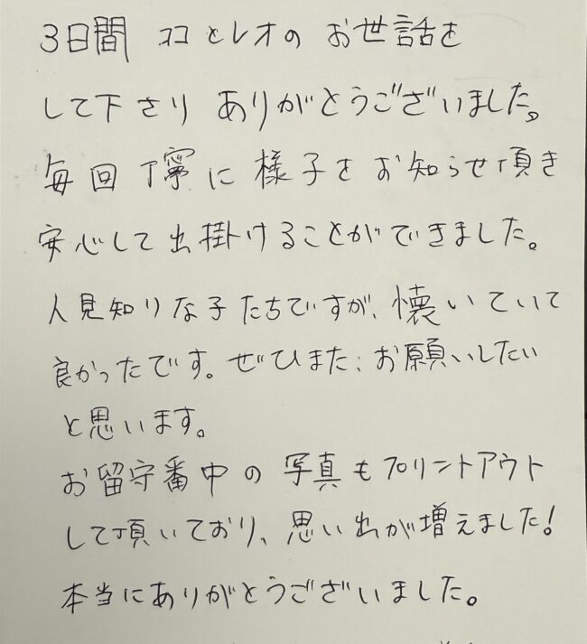 ペットシッター　マンチカンのココくんとラガマフィンのレオくんのご家族様