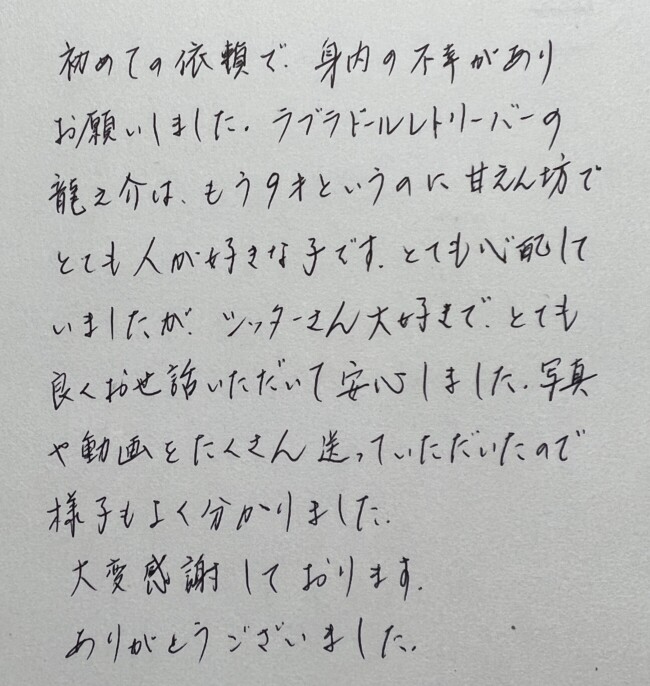 ペットシッター　箕面市　ラブラドールレトリーバー　竜之介くんのご家族様
