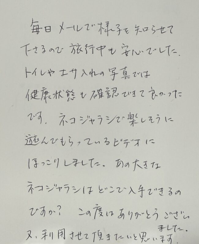ペットシッター　ノルウェージャンフォレストキャットのジュードくんのご家族様