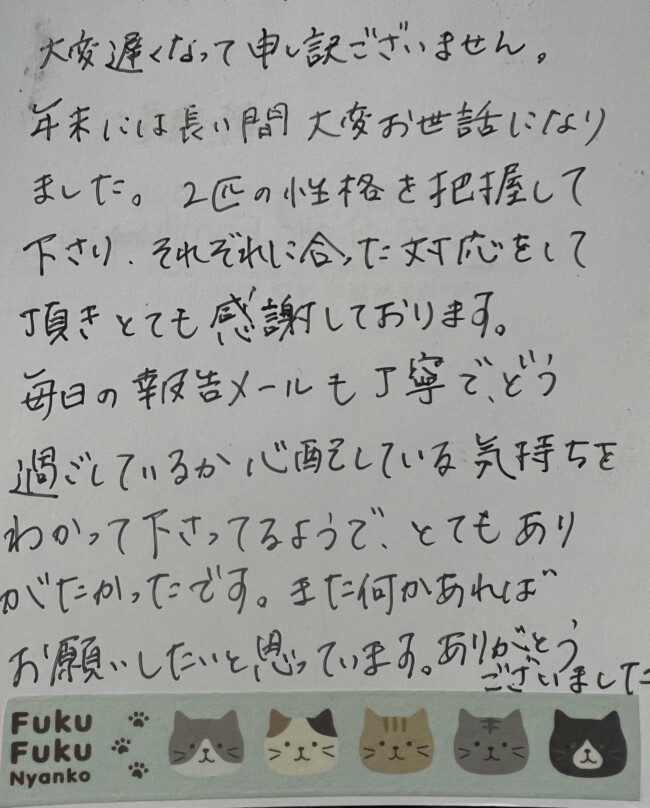 ペットホテル　猫　いねくんとむぎちゃんのご家族様