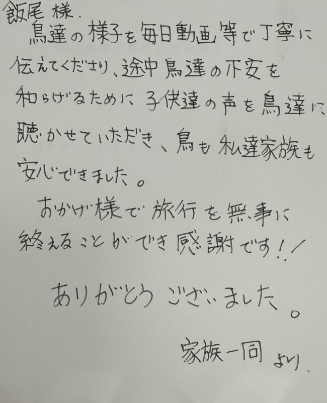 ペットシッター　セキセイインコのまめくんとコガネメキシコインコのかぼちゃんのご家族様