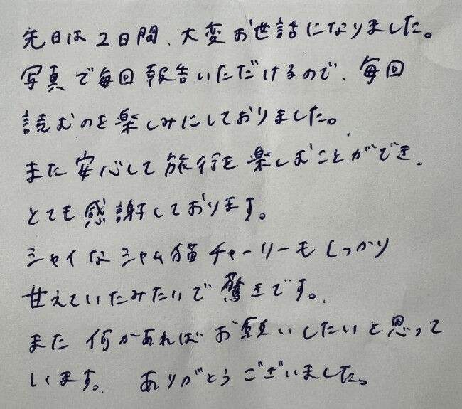 ペットシッター　シャム猫のチャーリーくんとアメリカンショートヘアのオースティンくんのご家族様