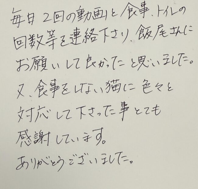 ペットホテル　マンチカンのソラちゃんのご家族様