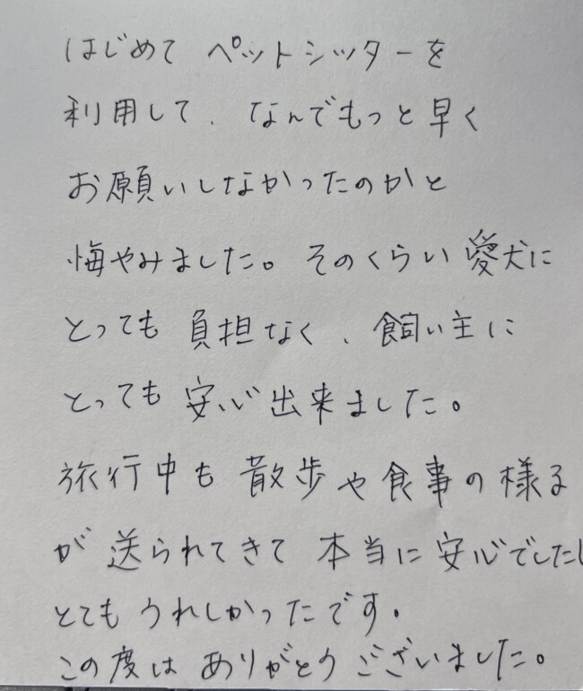 ペットシッター　チワプー　チャンクちゃんとスコーンちゃんのご家族様
