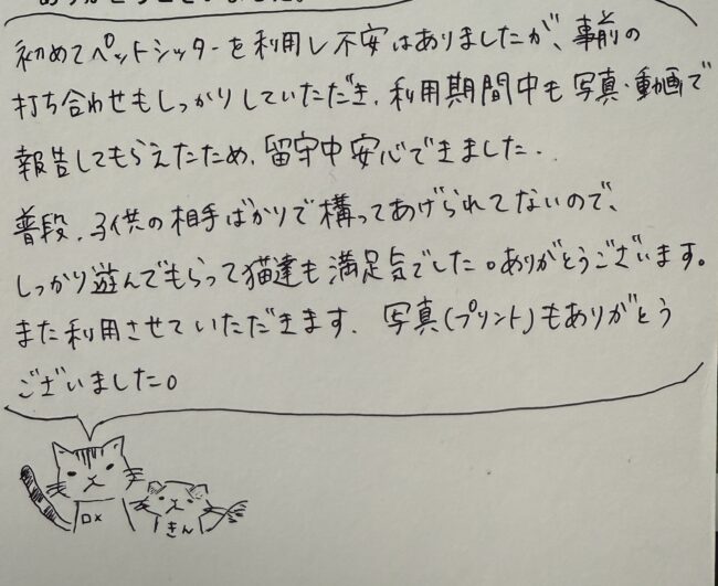 ペットシッター　アメリカンショートヘアのロメくんとスコティッシュフォールドのきんくんのご家族様