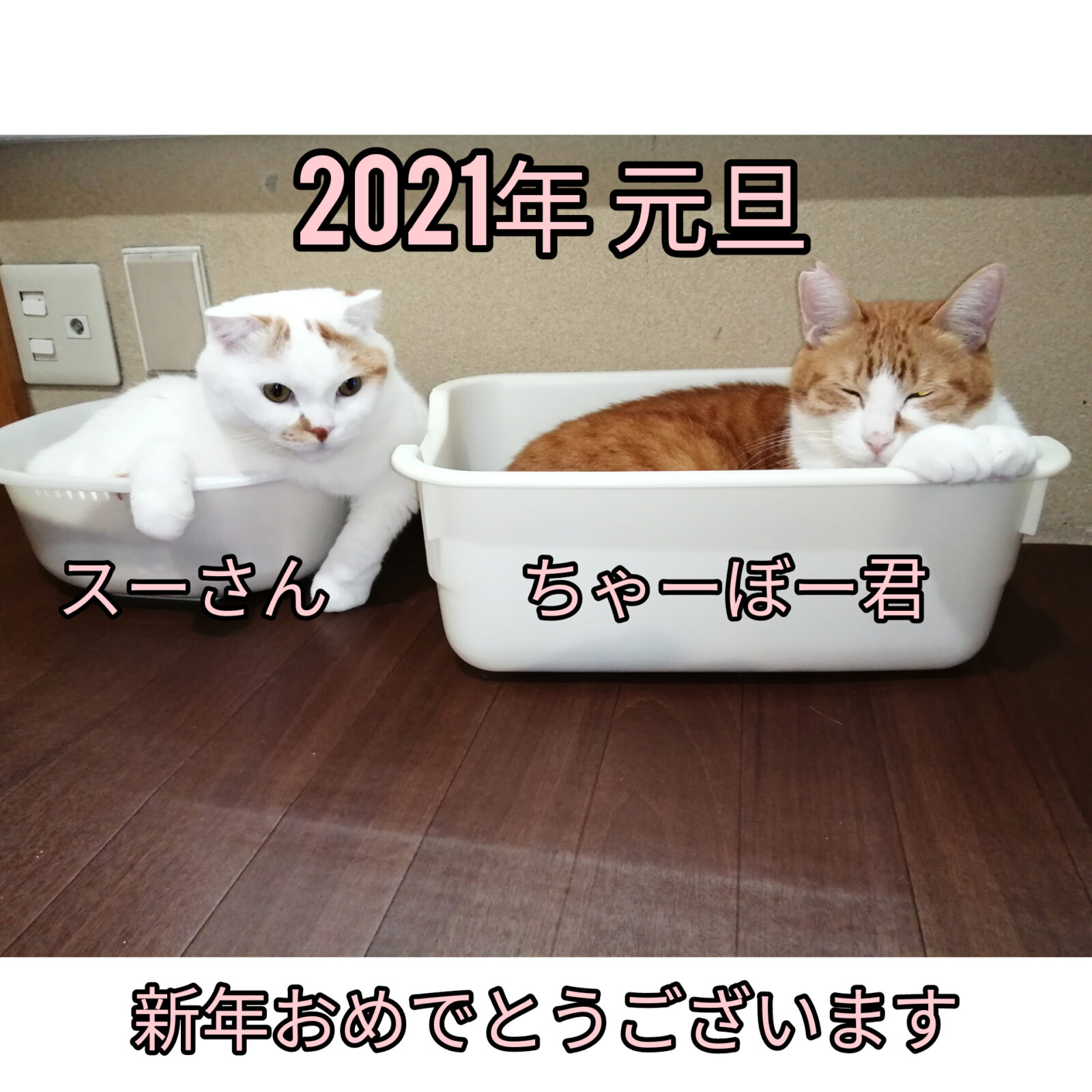 2021年 新年おめでとうございます