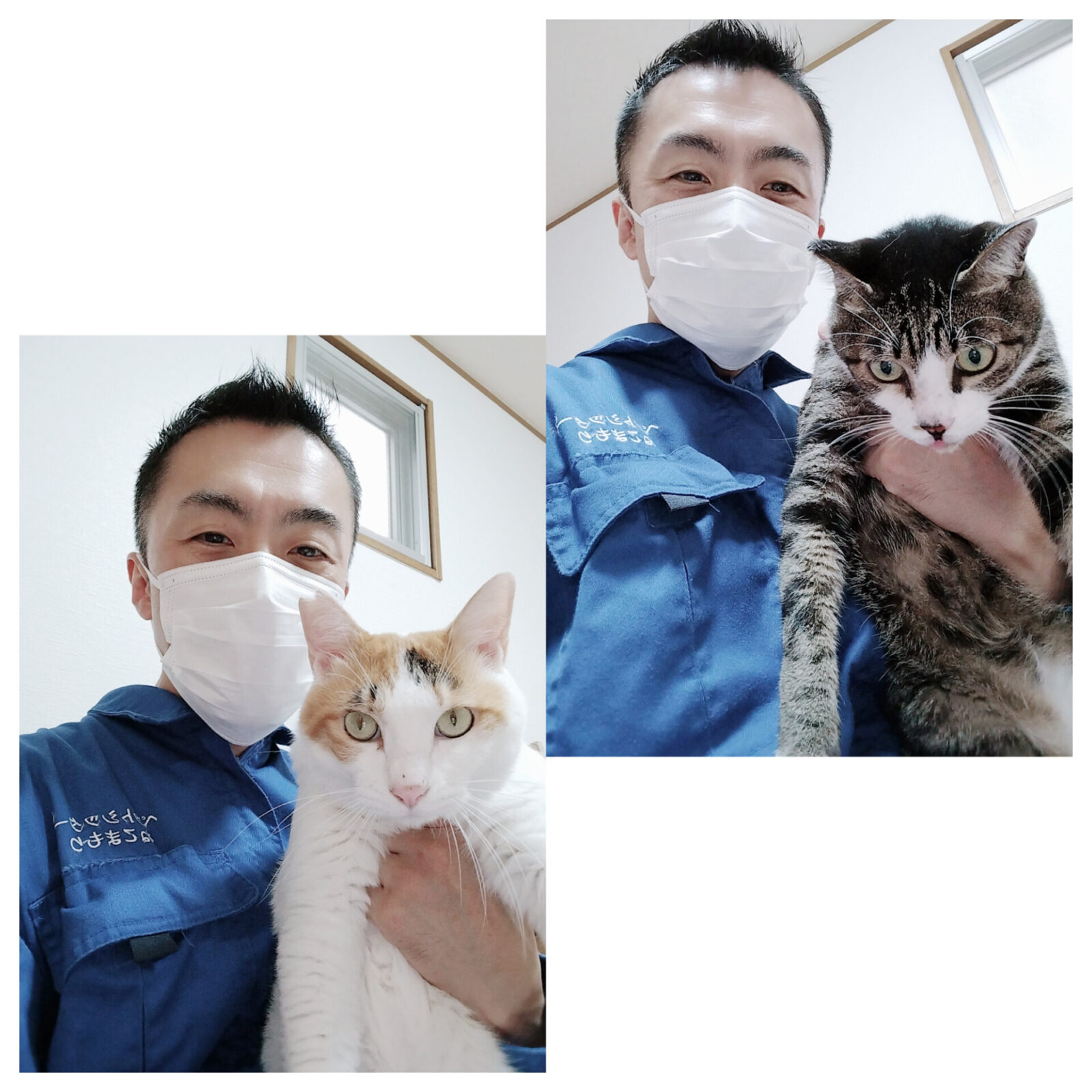 豊島区 お得意様 爪切り出来たよ〜 お利口ニャンちゃん お世話レポート🐈