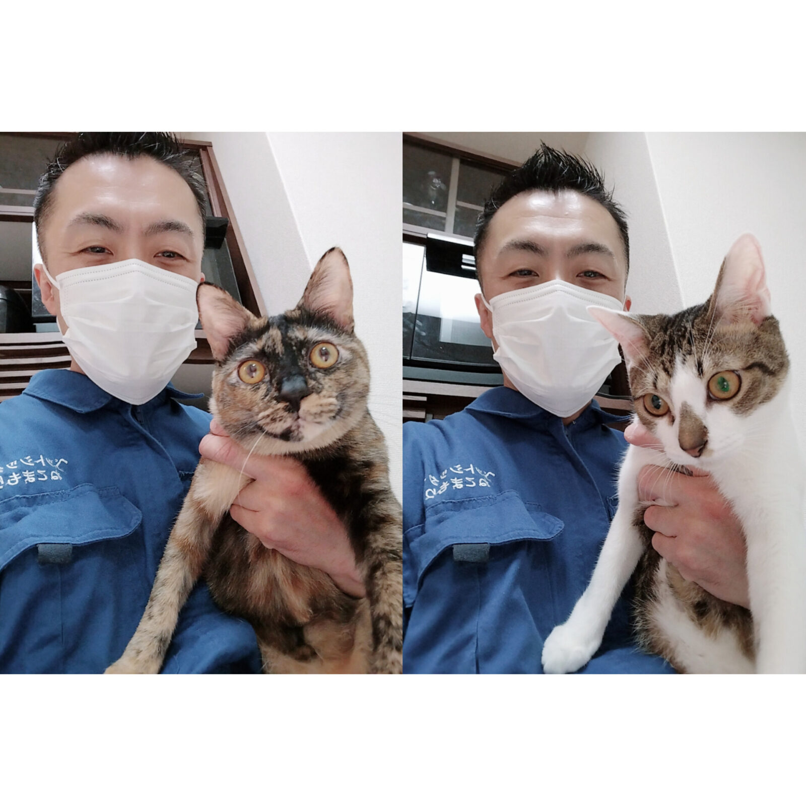 中野区 ご新規様 とっても息の合うニャンちゃん お世話レポート🐈