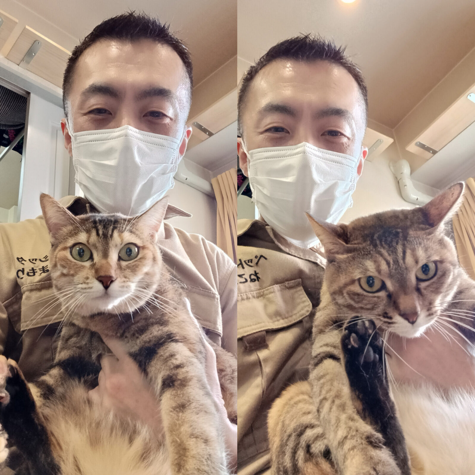 中野区 お得意様 そっくり過ぎだよ〜双子ちゃん お世話レポート🐈