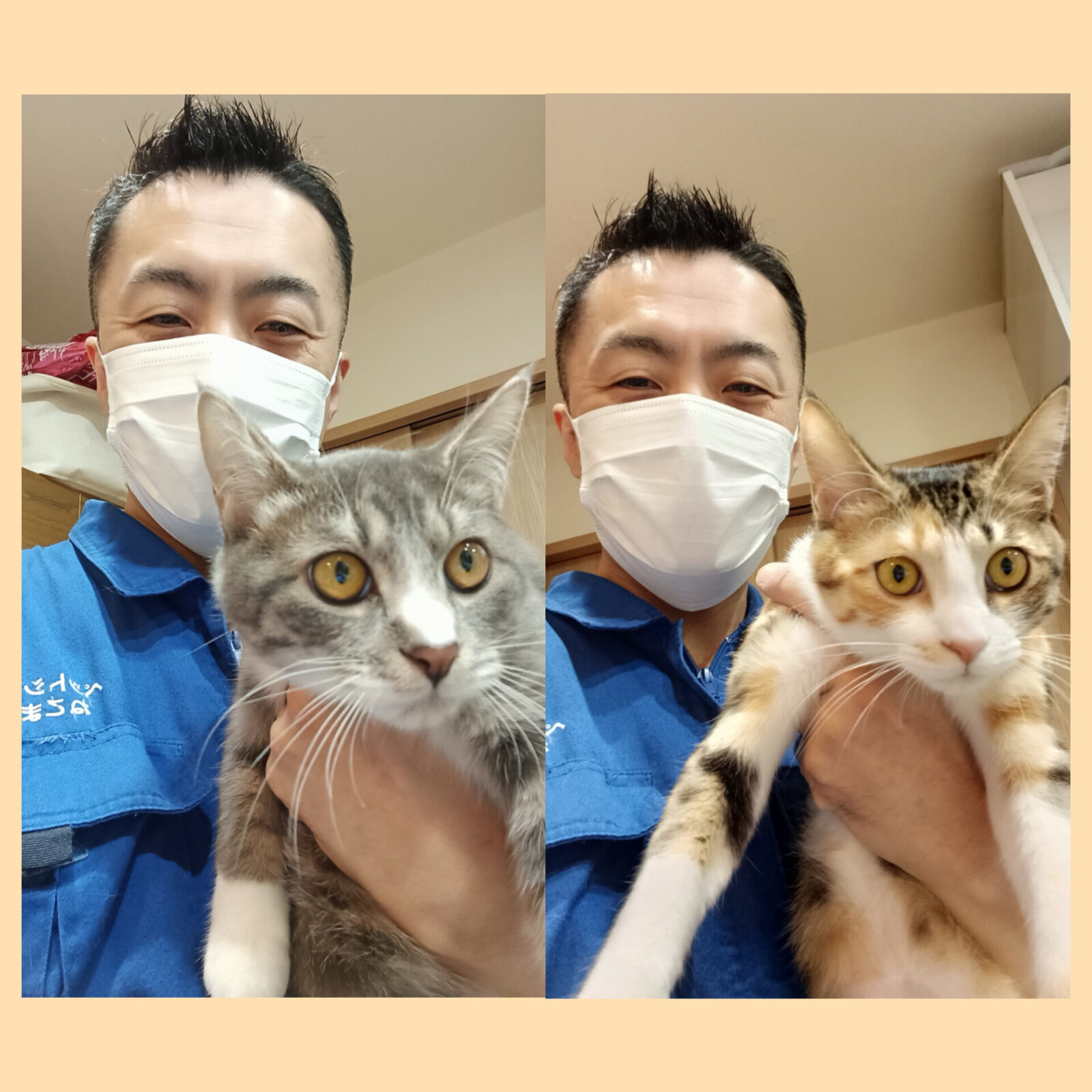 杉並区 ご新規様 はじめましてニャンちゃん お世話レポート🐈