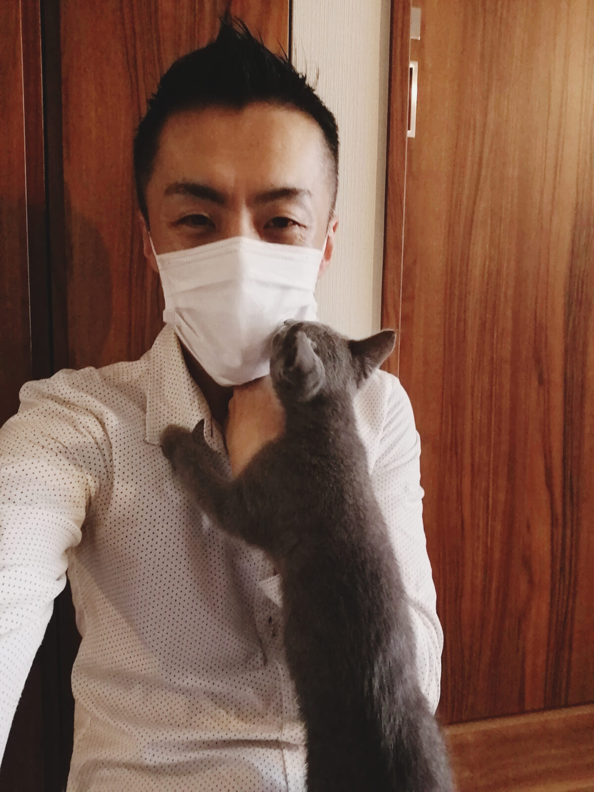 新宿区 ロシアンブルーちゃん お世話報告