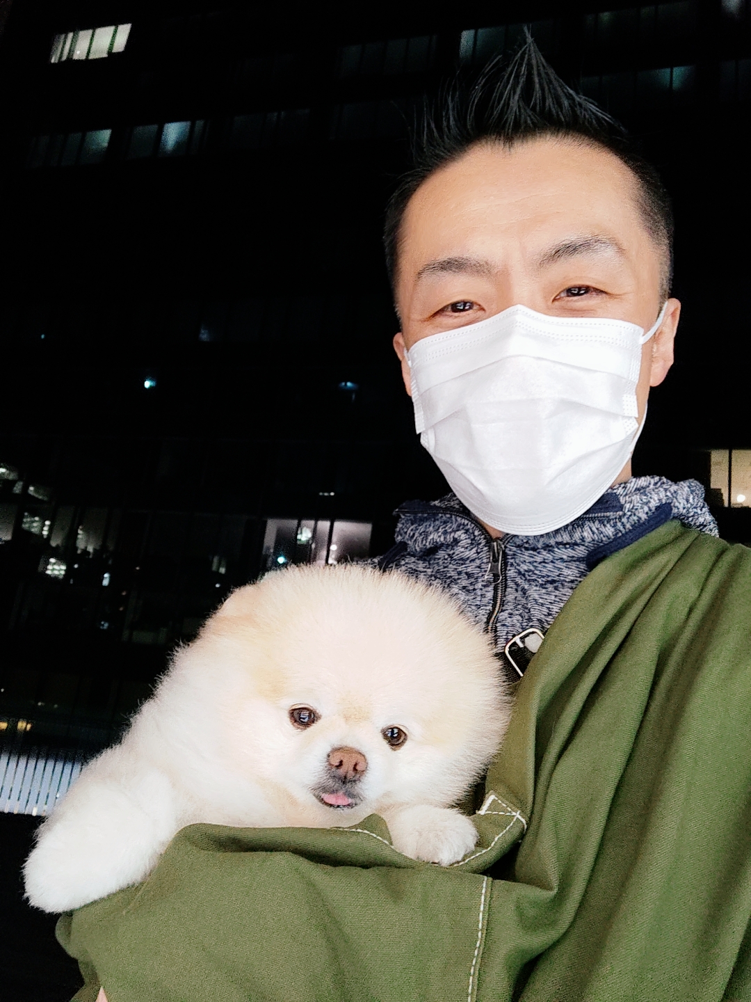 新宿区 お得意様 どこでもスーヤスヤ💤 ポメラニアンちゃん お世話報告