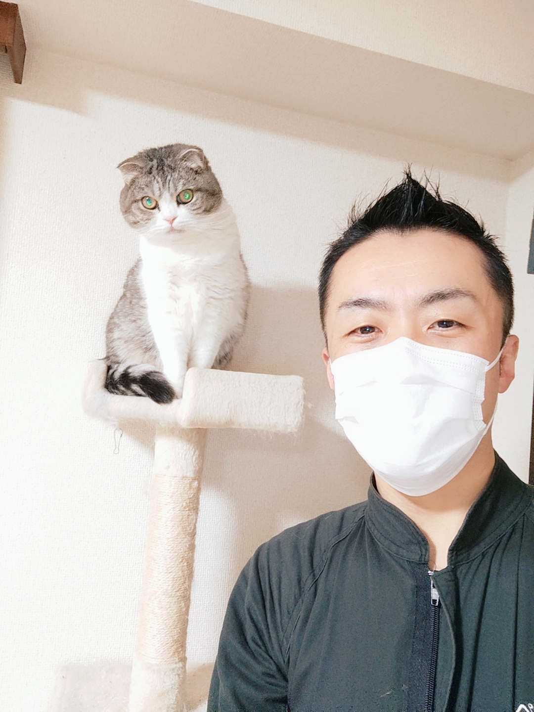 新宿区 お得意様 まんまるスコちゃん お世話報告