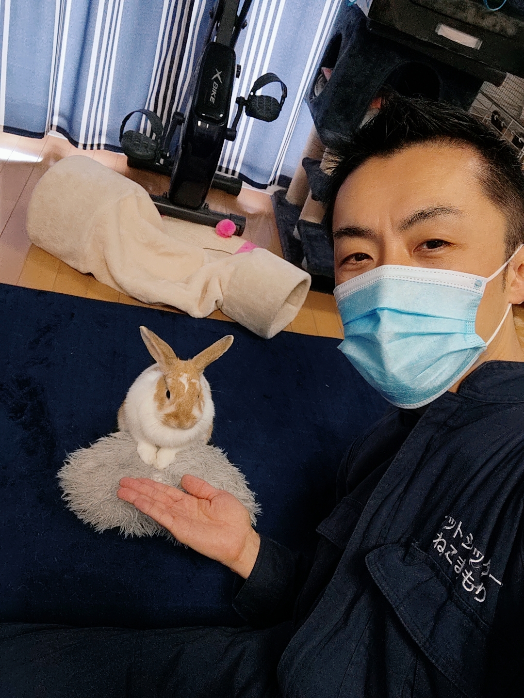 新宿区 お得意様 ピョンぴょんピョン ホーランドロップイヤーラビットちゃん お世話報告