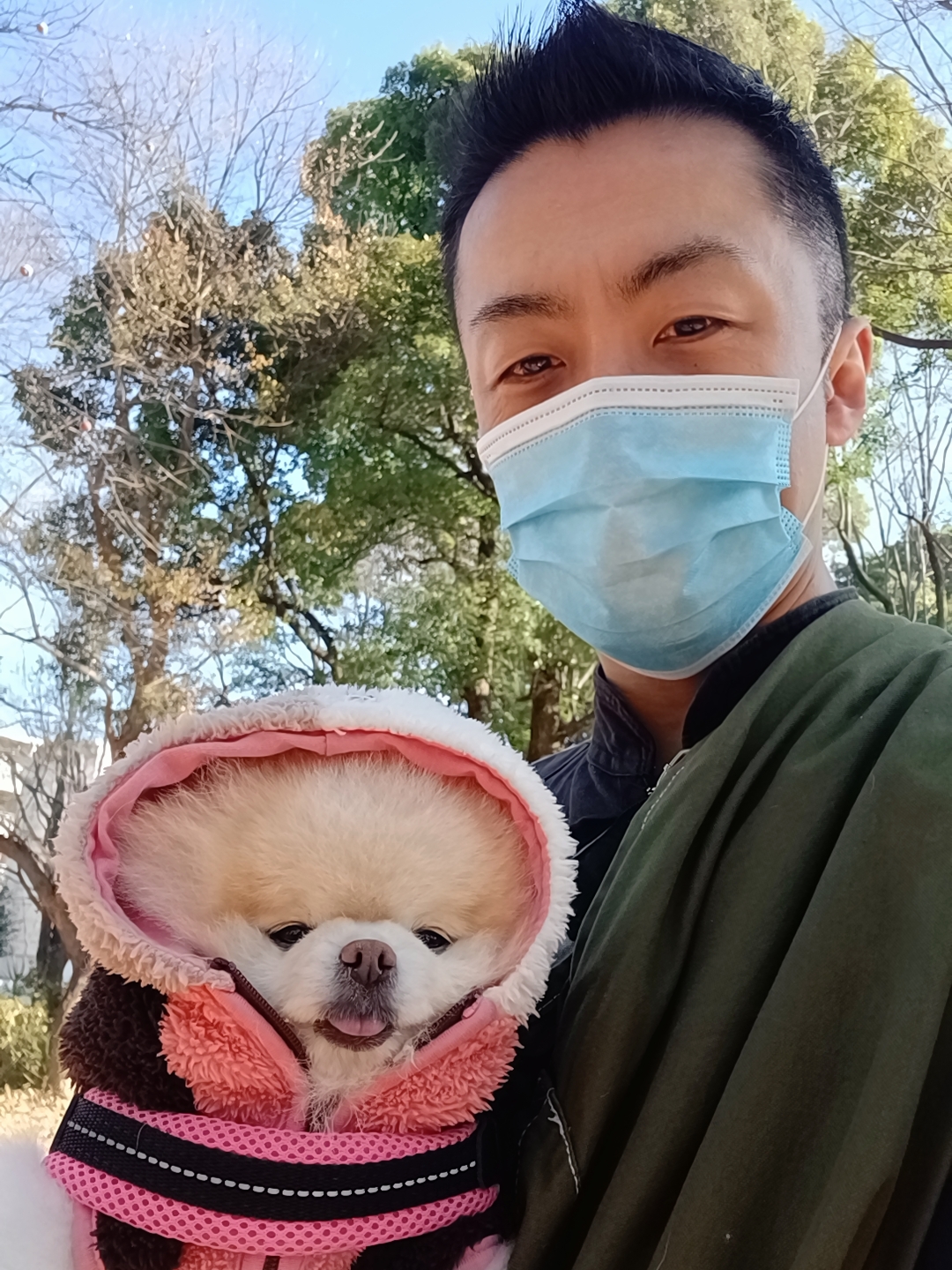 新宿区 お得意様 お腹スリスリ大好き ポメラニアンちゃん お世話報告