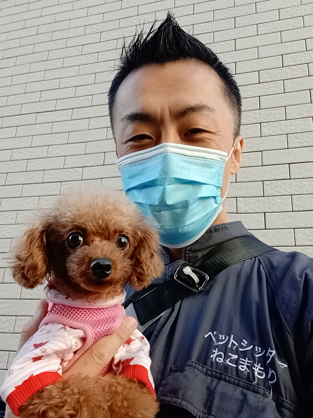 中野区 ご新規様 キュートなトイプードルちゃん お世話報告