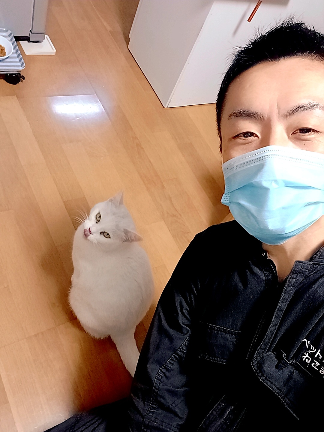 新宿区 お得意様 おばあちゃんニャンちゃん お世話報告