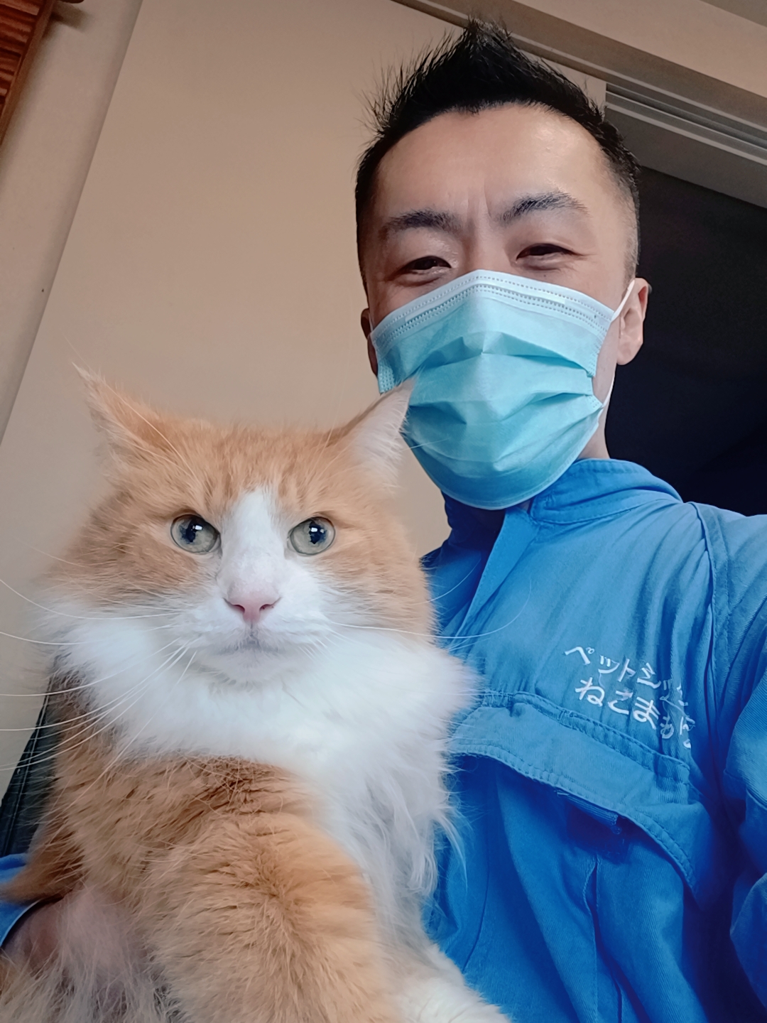 新宿区 ご新規様 ふわもふぅ〜 ノルウェージャンフォレストキャットくん お世話報告