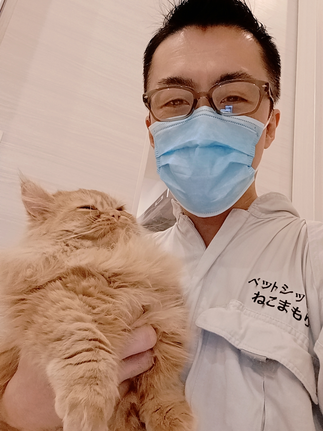 新宿区 お得意様 ふささささ〜ミヌエットくん お世話報告