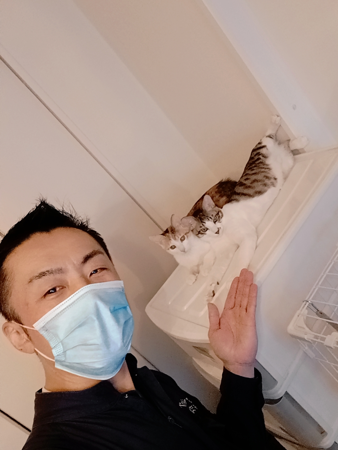 杉並区 ご新規様 はじめてのお留守番 兄妹ニャンちゃん お世話報告