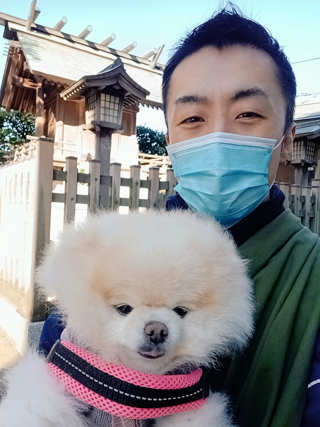 新宿区 お得意様 日光浴が気持ちいぃ〜 ポメラニアンちゃん お世話報告