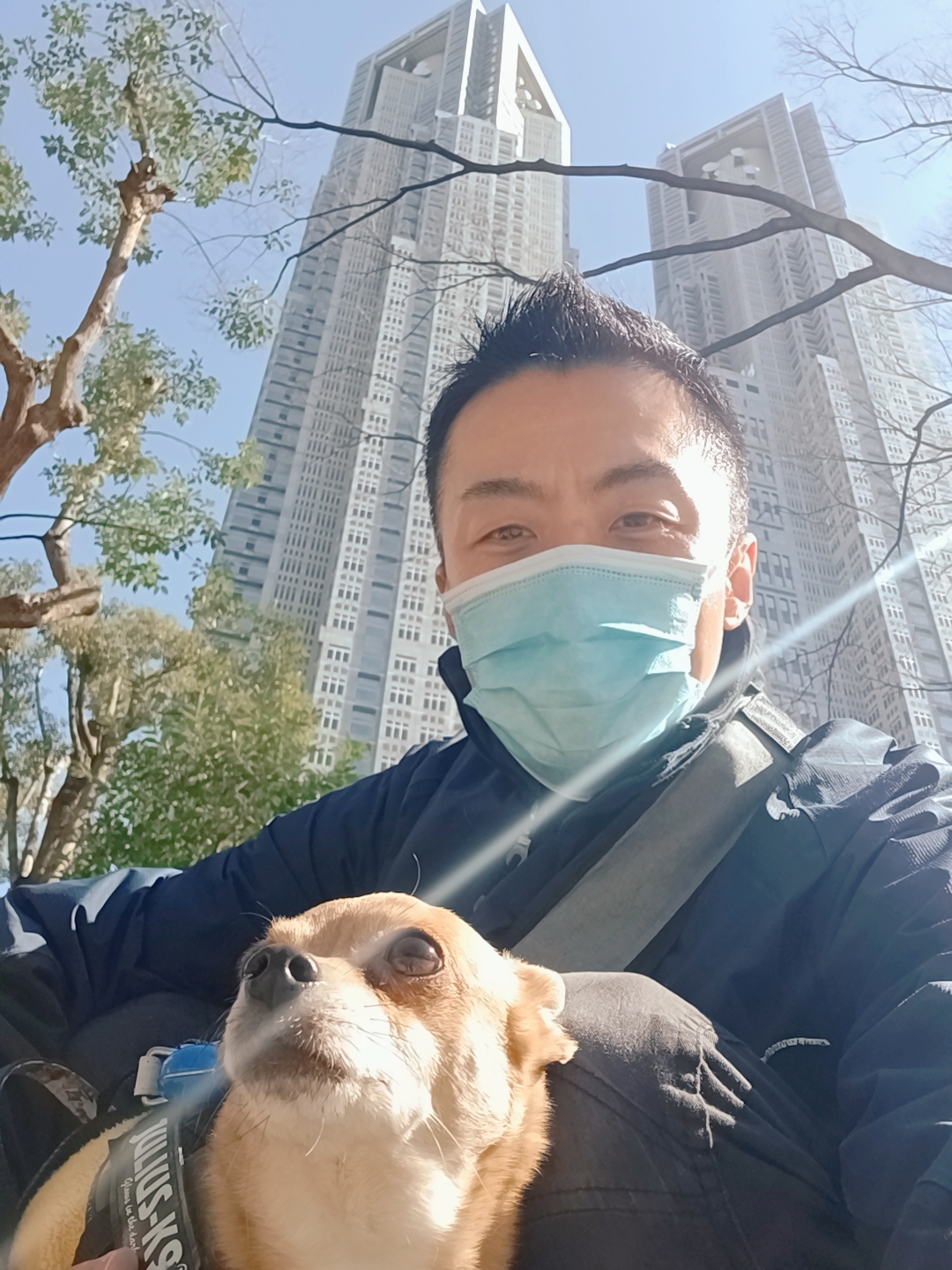 新宿区 ご新規様 かけっこ大好き チワピンくん お世話報告