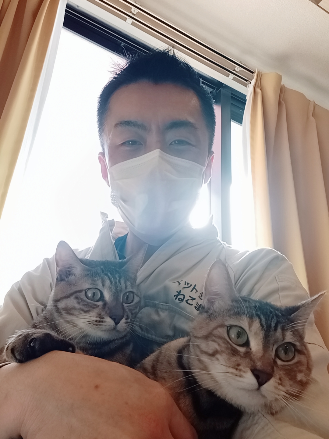 中野区 お得意様 仲良し双子にゃんちゃん お世話報告