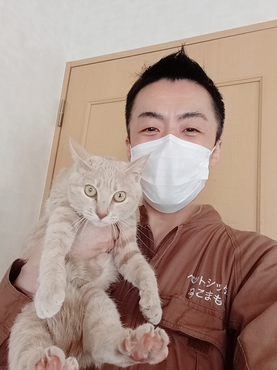 中野区 お得意様 ニャンコレーザー大好き ニャンちゃん お世話報告