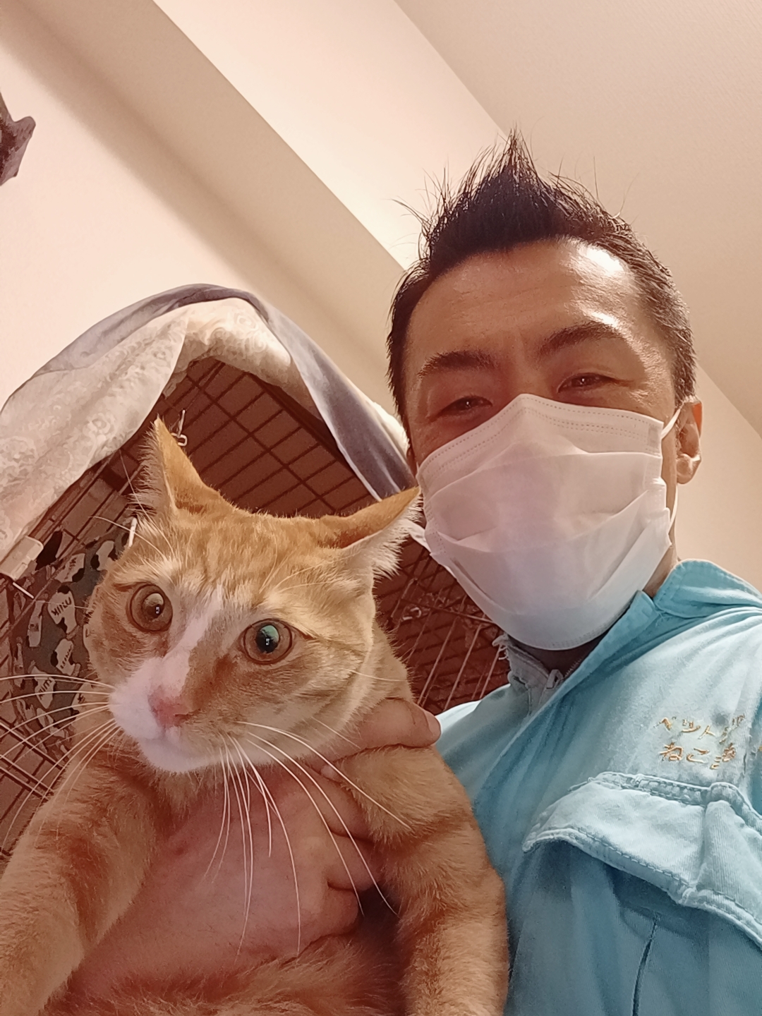 新宿区 お得意様 仲良しニャンちゃん お世話報告