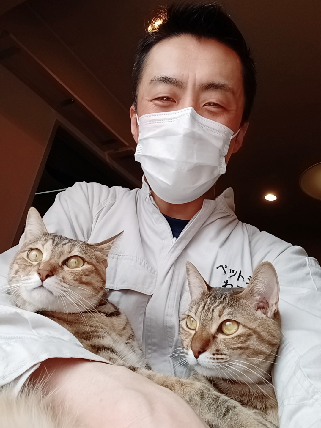 中野区 お得意様 仲良し双子ニャンちゃん お世話レポート