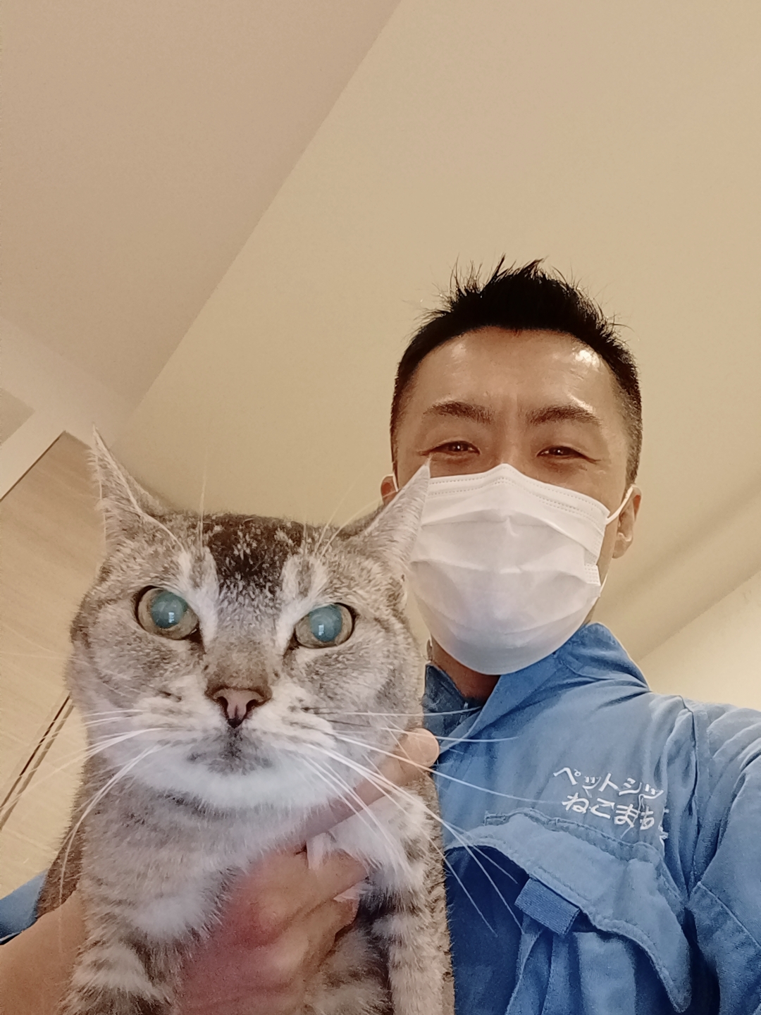 新宿区 ご新規様 3匹のシニアニャンちゃん お世話報告