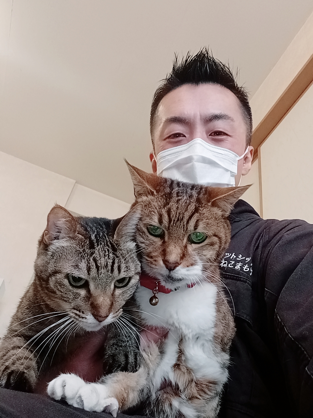 中野区 お得意様 とっても元気な4ニャンちゃん お世話報告