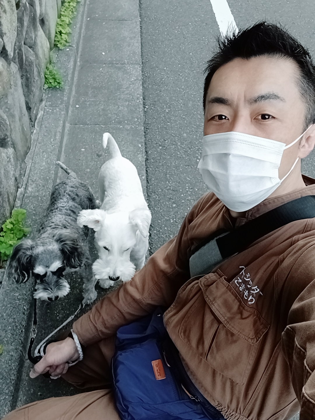 中野区 ご新規様 ブラック&ホワイト ミニチュアシュナウザーちゃん お世話報告