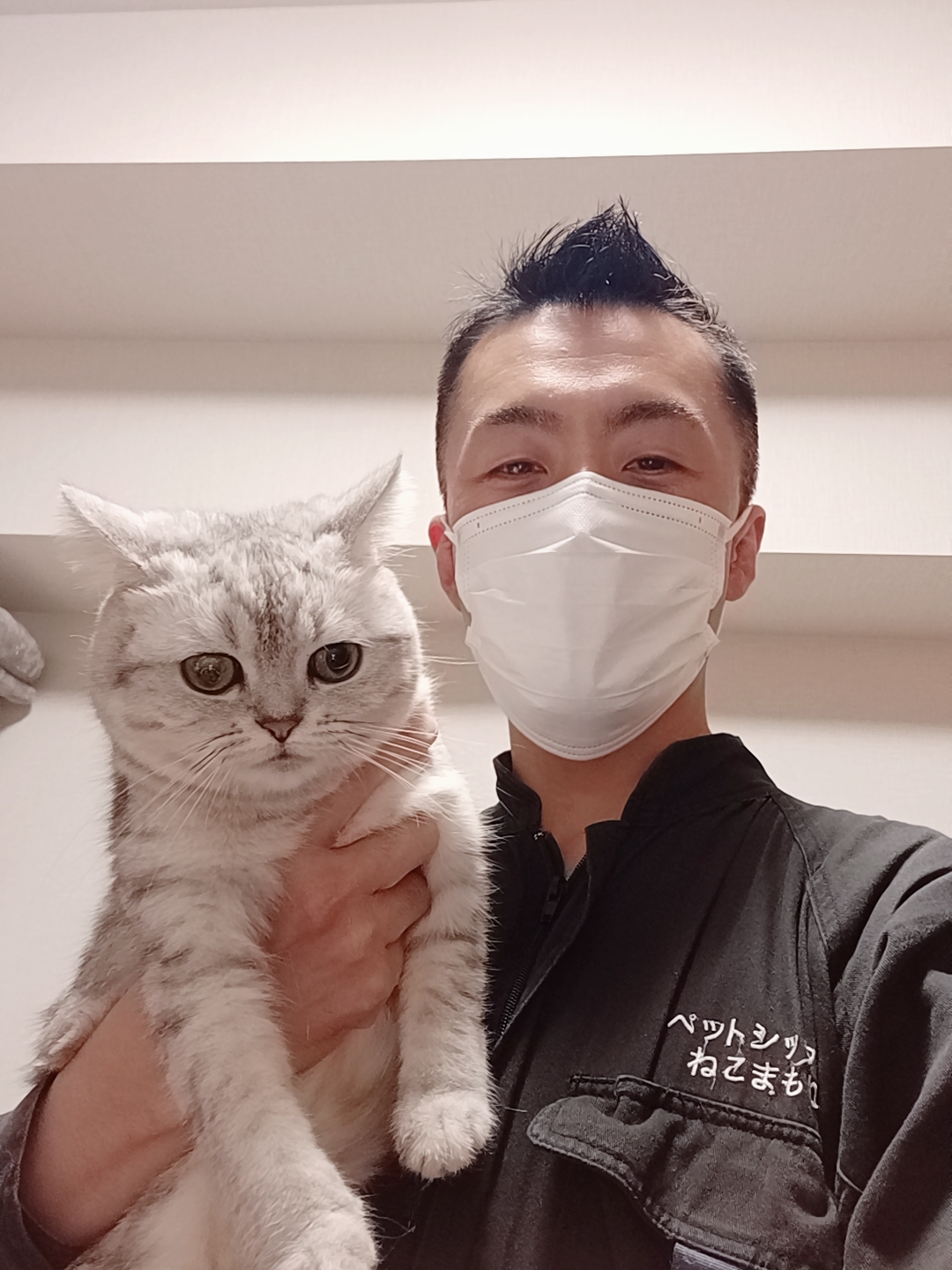 新宿区 ご新規様 スコちゃん&ミヌくん&スコくん 大家族3ニャンちゃん お世話報告