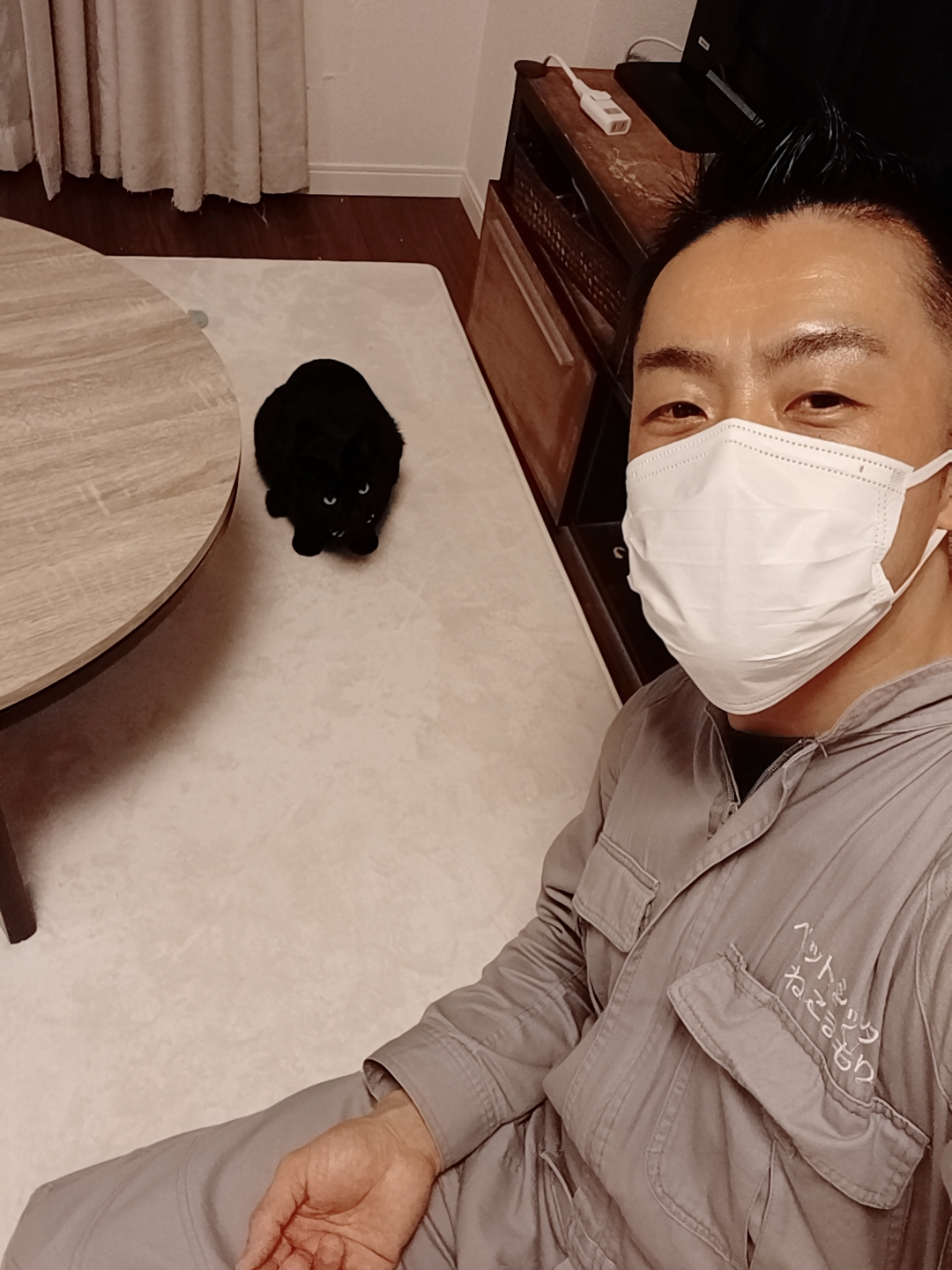 中野区 お得意様 まっくろくろ〜ニャンちゃん お世話報告