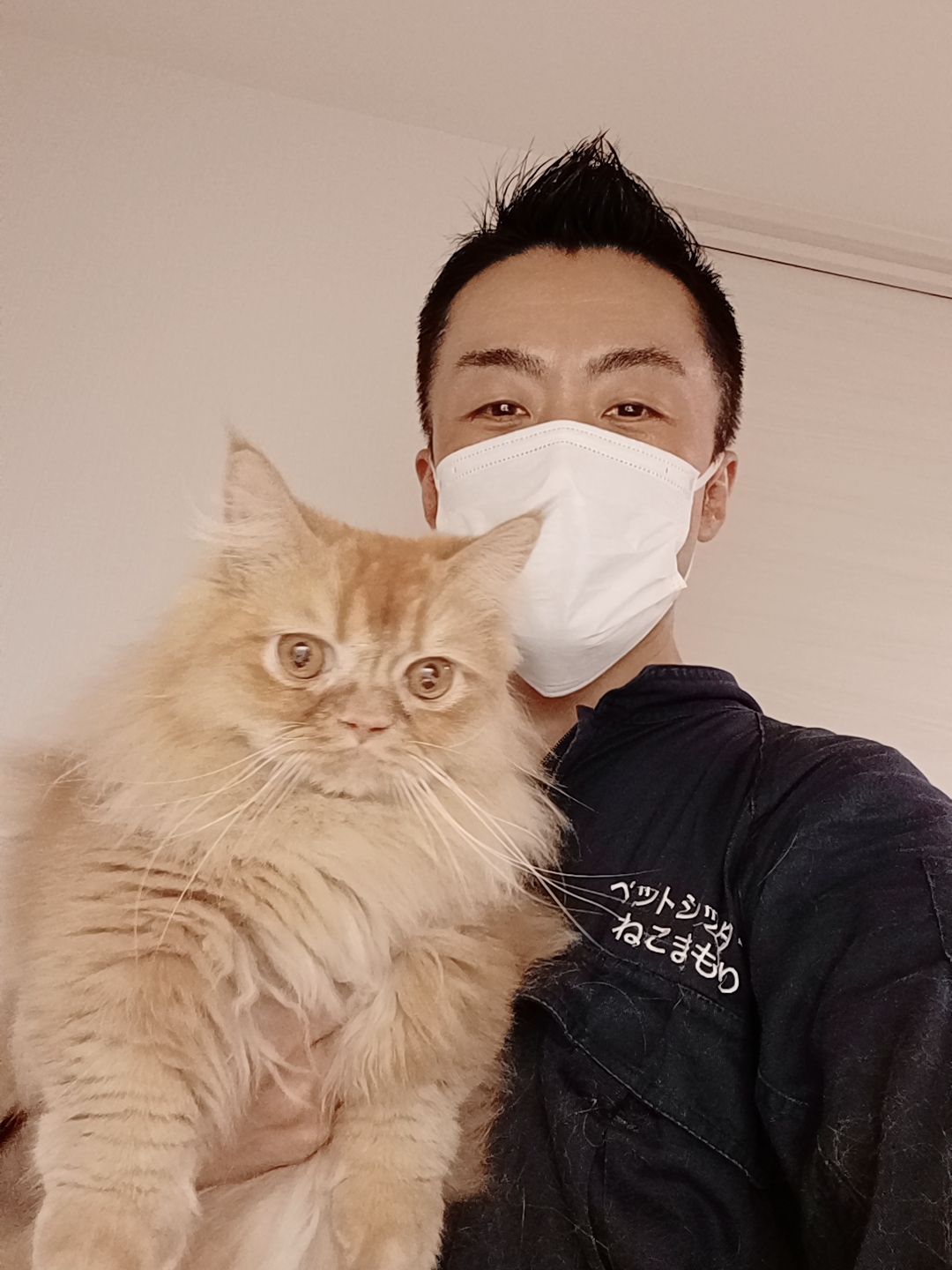 新宿区 お得意様 目薬がんばったニャン ミヌエットくん お世話レポート🐈