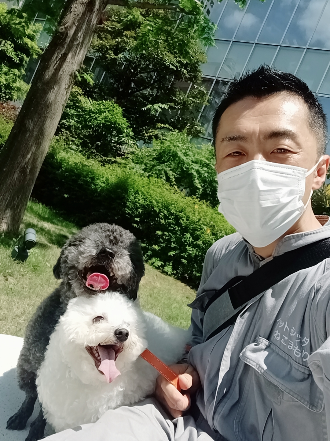 新宿区 ご新規様 元気で仲良し マルプーくん&ポメビションくん お世話報告