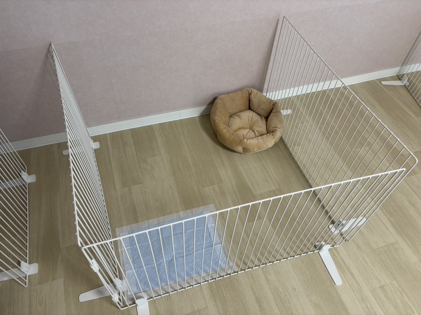 サークルで区切った空間