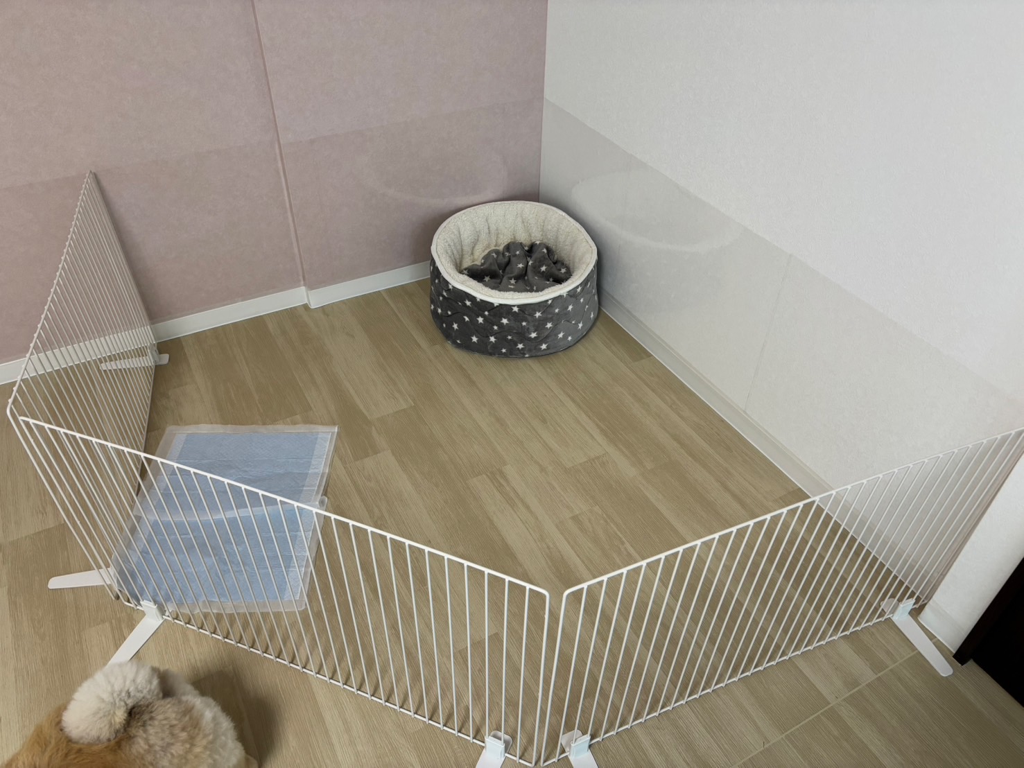 サークルで区切った空間