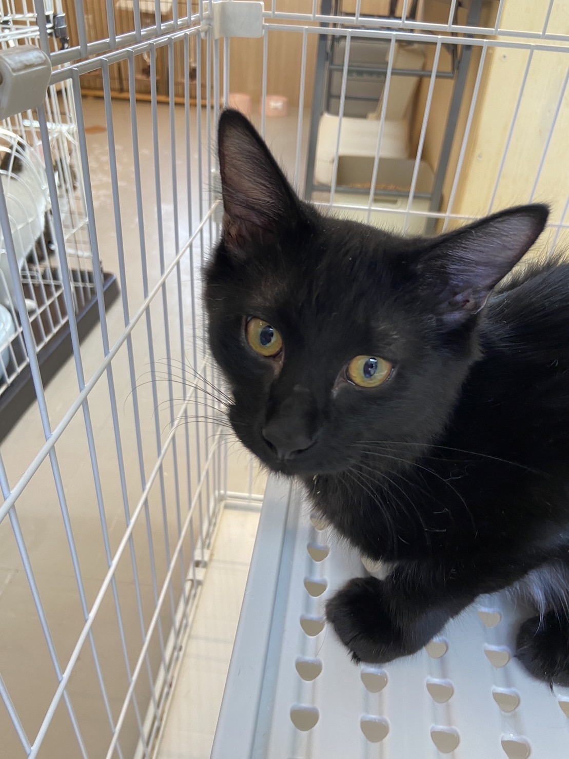 ２０２４年ゴールデンウィーク繁忙期のお知らせ