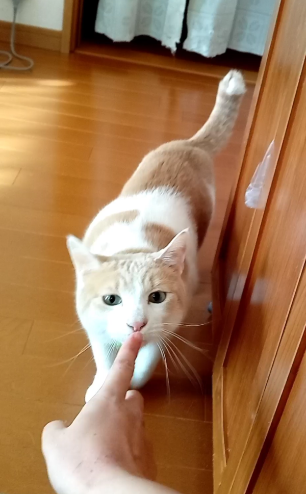 2年ぶりチョコ君・モカ君☆