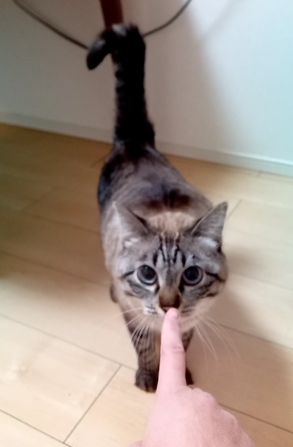 幻のベルちゃん☆