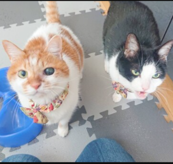 今年初のクウ君・カイ君☆