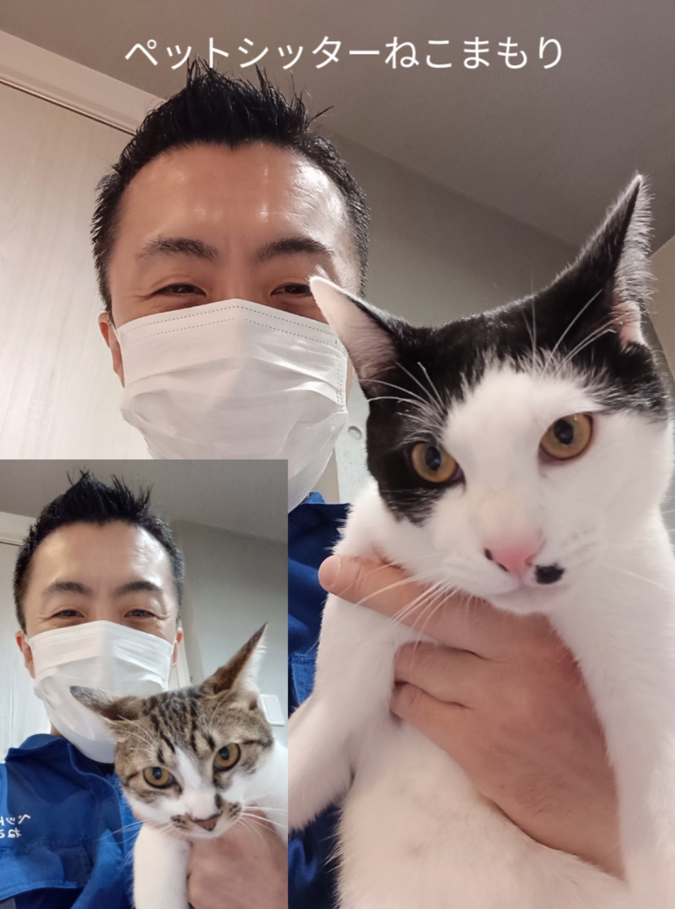 中野区 お得意様 とっても仲の良い兄妹ニャンちゃん お世話レポート🐈