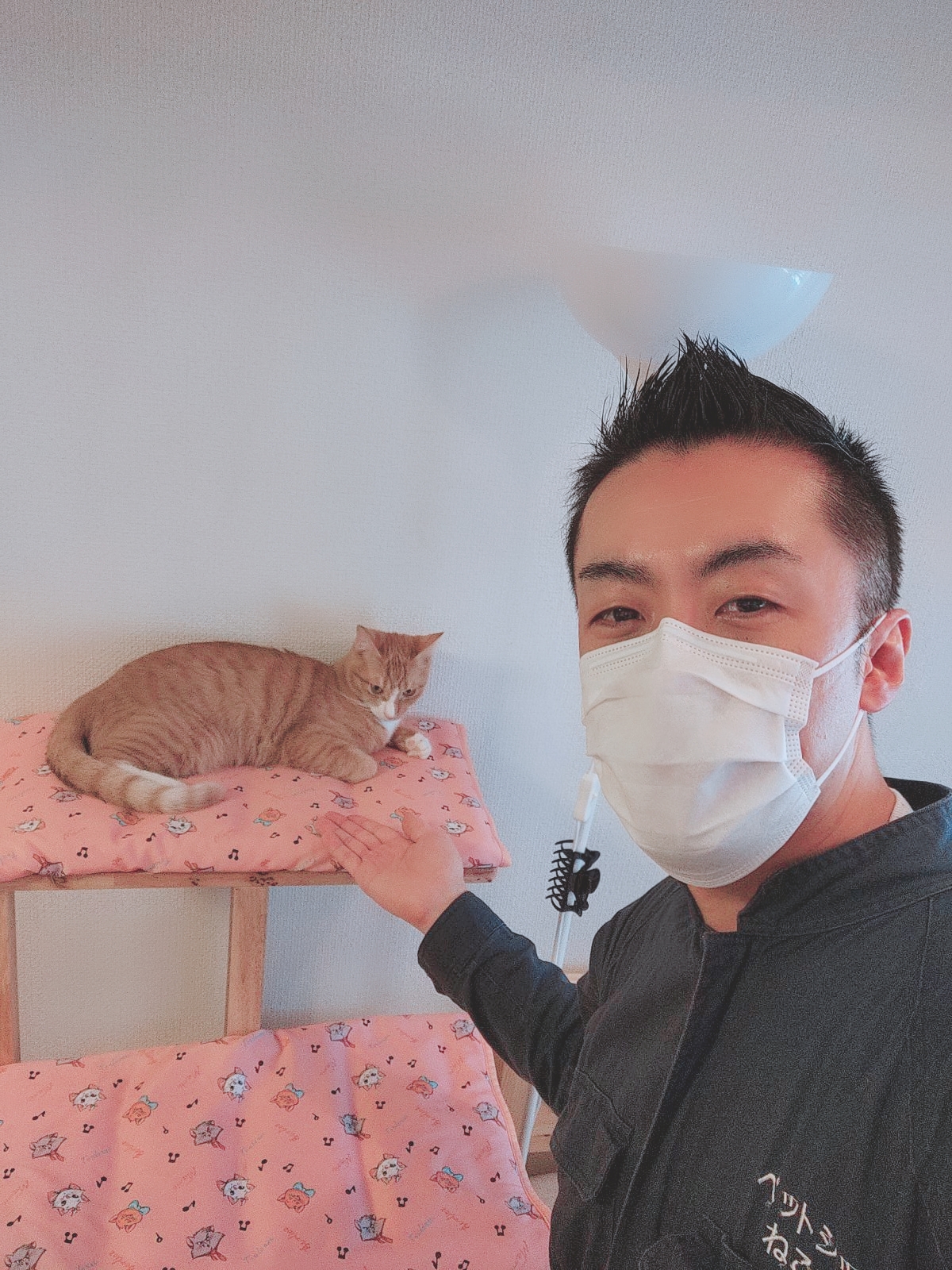 新宿区 お得意様 恥ずかしぃ〜やんちゃな〜 ニャンちゃん姉弟 お世話報告