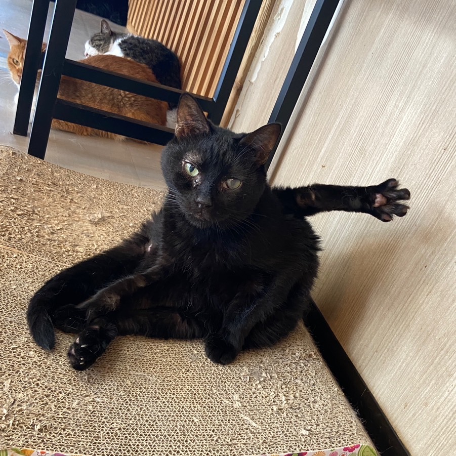 2025年 お盆期間繁忙期のお知らせ