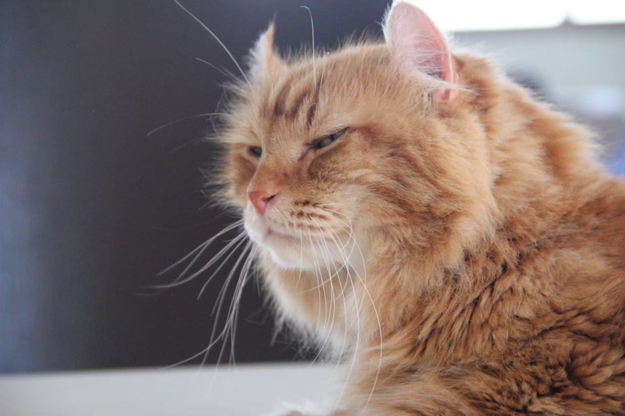 年末年始のお知らせ